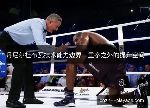 丹尼尔杜布瓦技术能力边界，重拳之外的提升空间